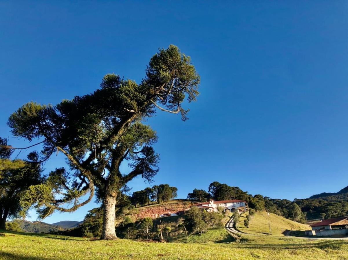 Pousada Fazenda Da Invernada Урубиси Экстерьер фото